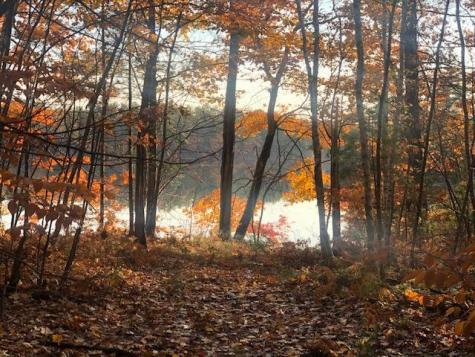 Tbd Blue Jay Way Fayette ME 04349