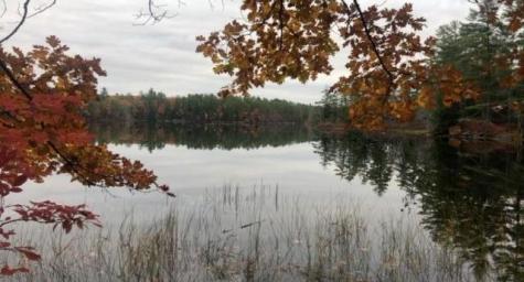 Tbd Blue Jay Way Fayette ME 04349