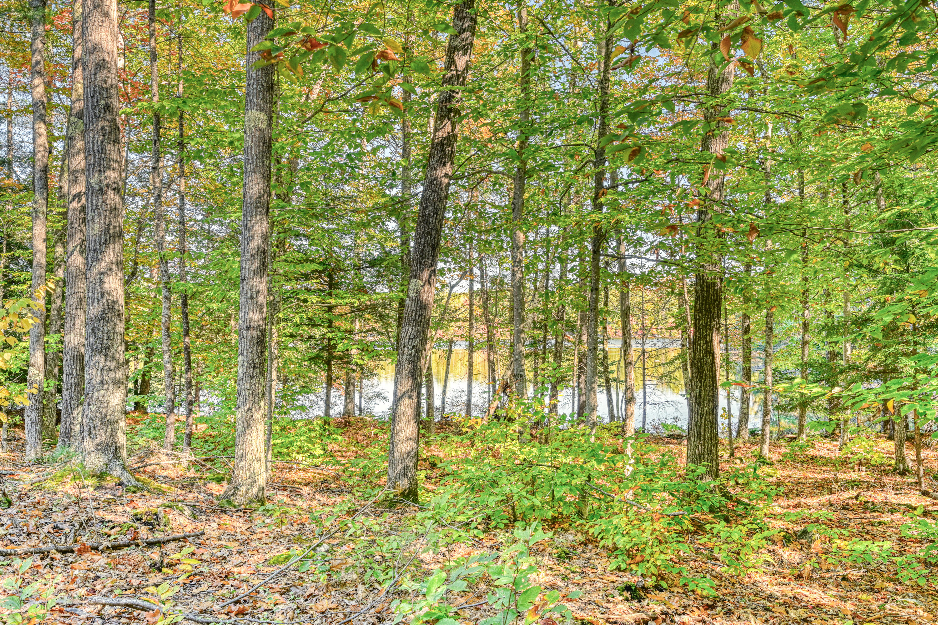 Tbd Blue Jay Way Fayette ME 04349