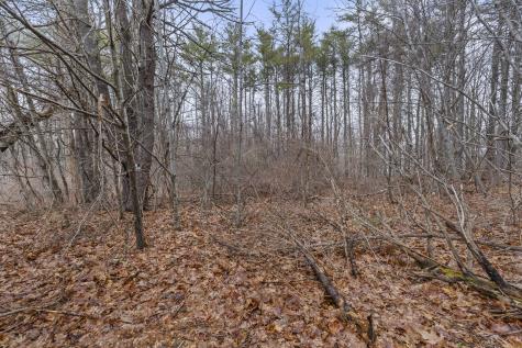 297 1 & 2 Loop Road Wells ME 04090