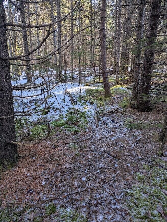 19 Tamarack Lane Cushing ME 04563