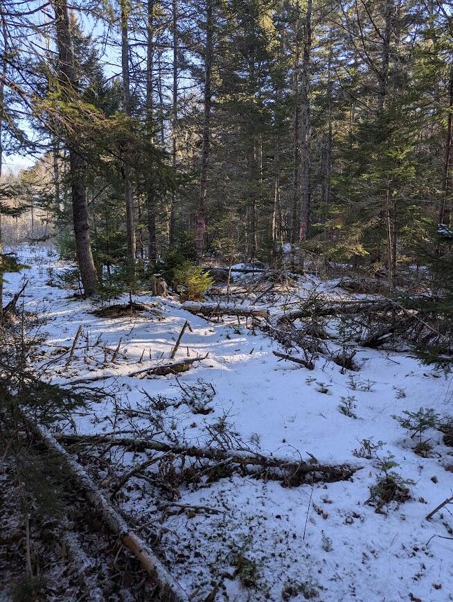 19 Tamarack Lane Cushing ME 04563