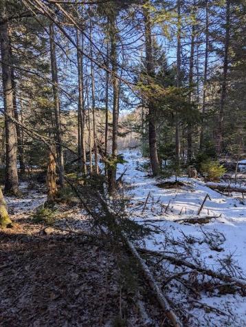 19 Tamarack Lane Cushing ME 04563