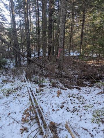 19 Tamarack Lane Cushing ME 04563