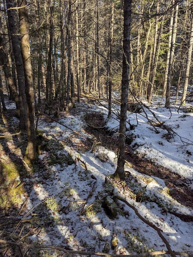 19 Tamarack Lane Cushing ME 04563