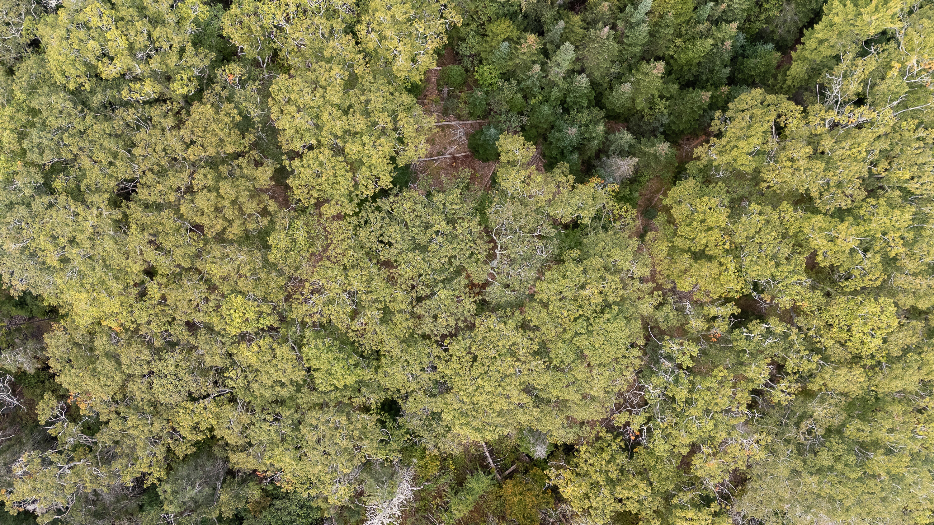 Lot 149 Bristol Road Bristol ME 04539