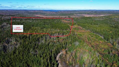 Lot 6 Holmes Bay Farm Whiting ME 04691