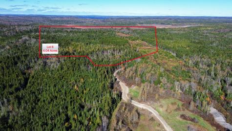 Lot 6 Holmes Bay Farm Whiting ME 04691