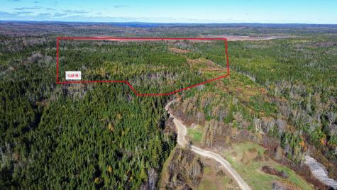 Lot 6 Holmes Bay Farm Whiting ME 04691