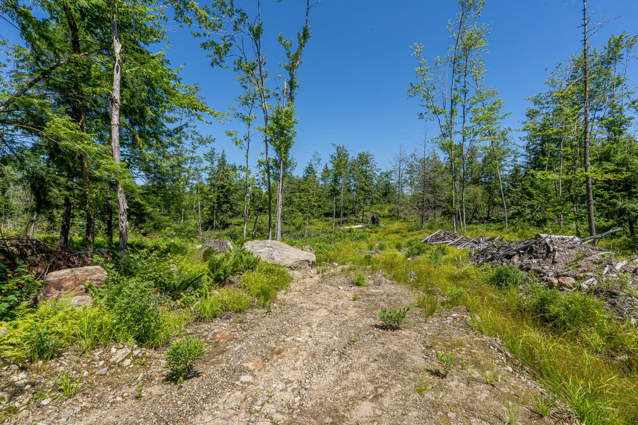 M13L30 Clarks Bridge Road Waterboro ME 04061