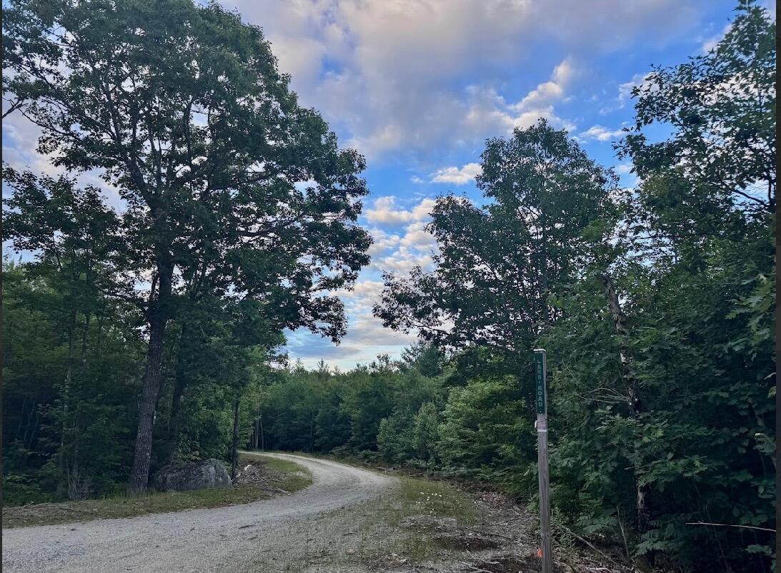 Lot 31 Lane Road Cherryfield ME 04622
