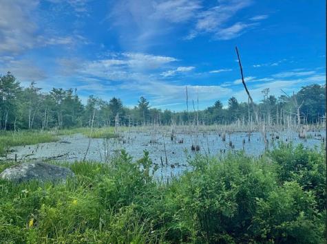 Lot 31 Lane Road Cherryfield ME 04622