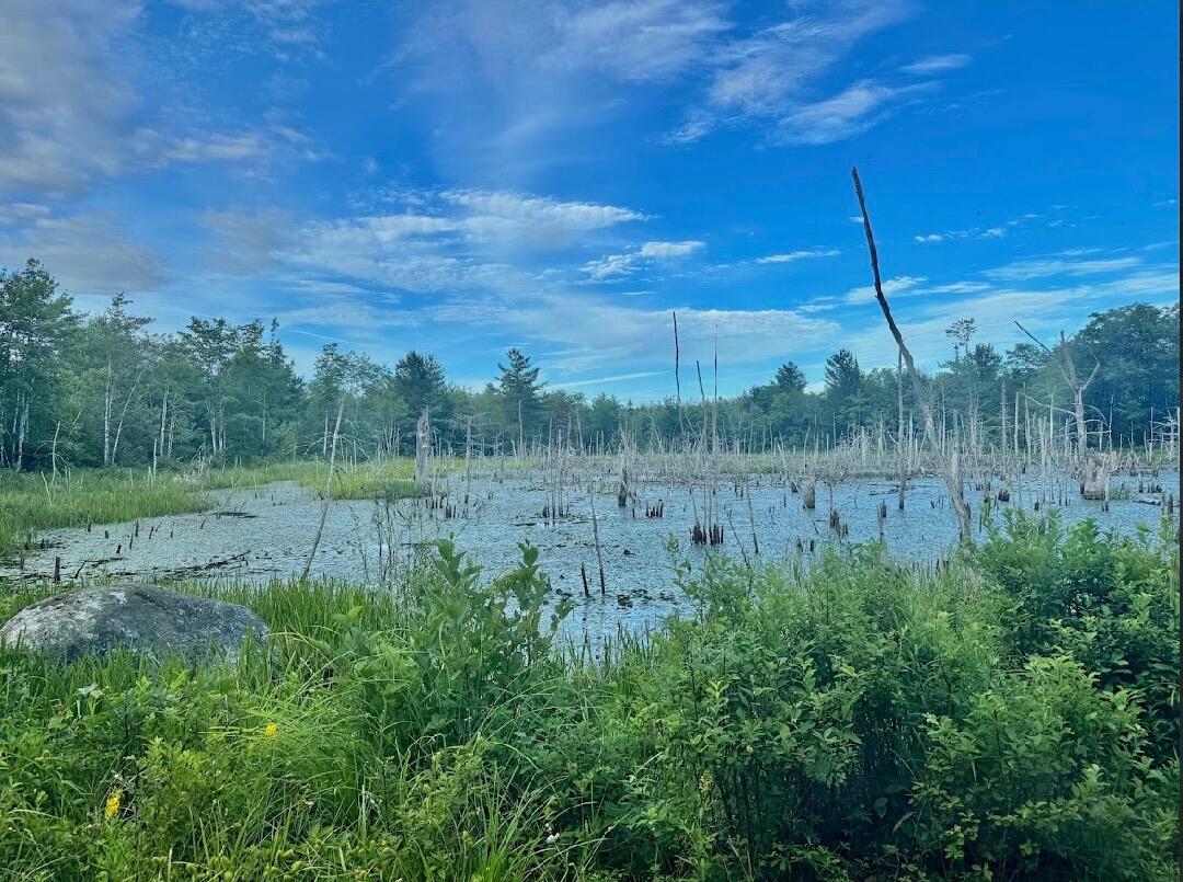 Lot 31 Lane Road Cherryfield ME 04622