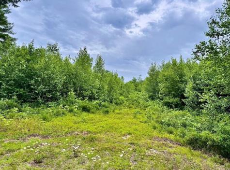 Lot 31 Lane Road Cherryfield ME 04622