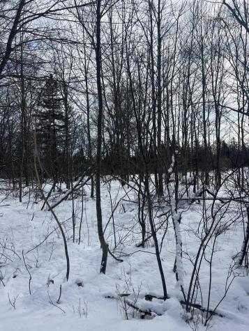 272 Looks Point Road Jonesboro ME 04648