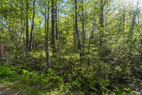 7 Intervale Road York ME 03902