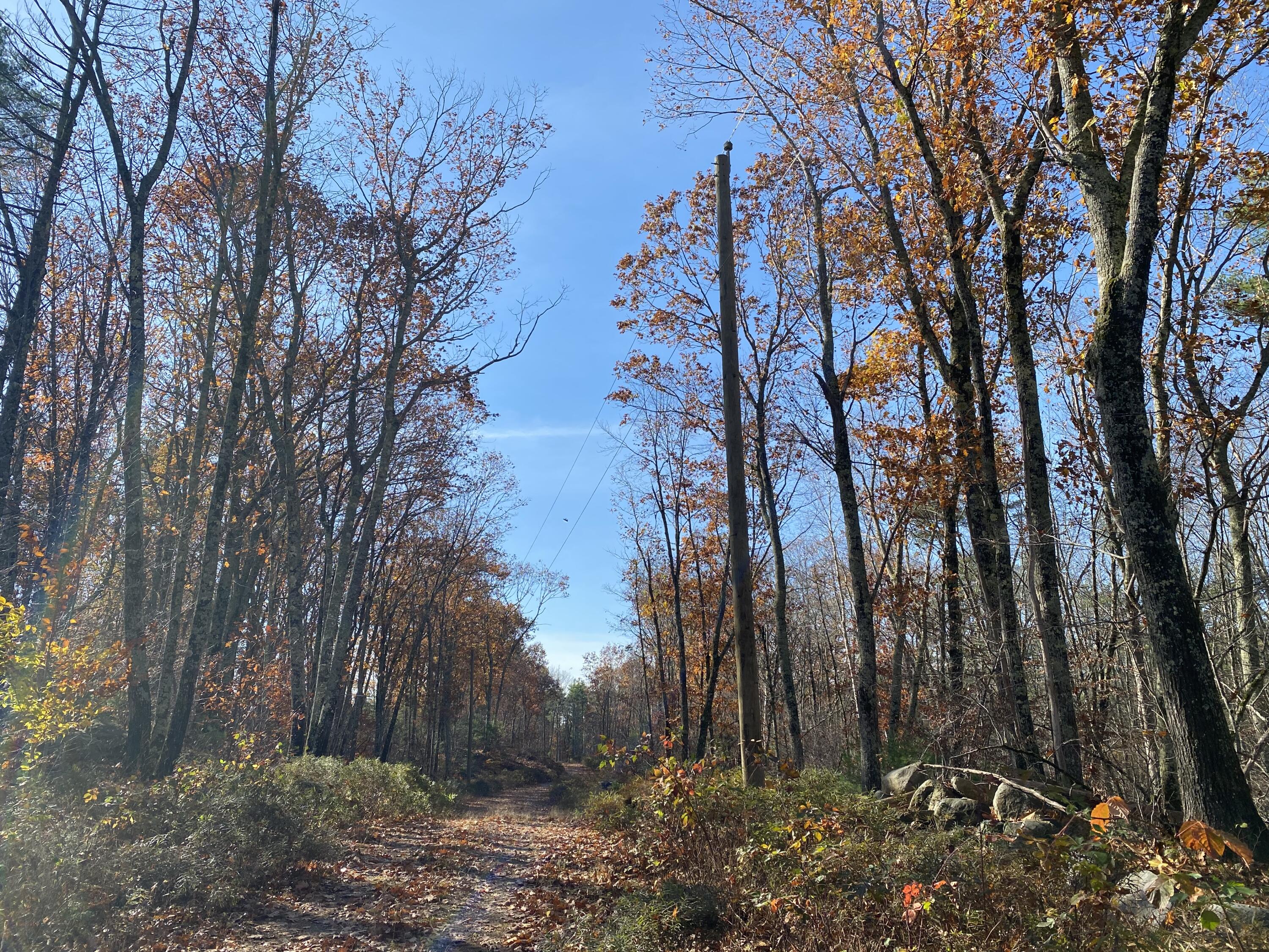 0 Tatnic Road Wells ME 04090