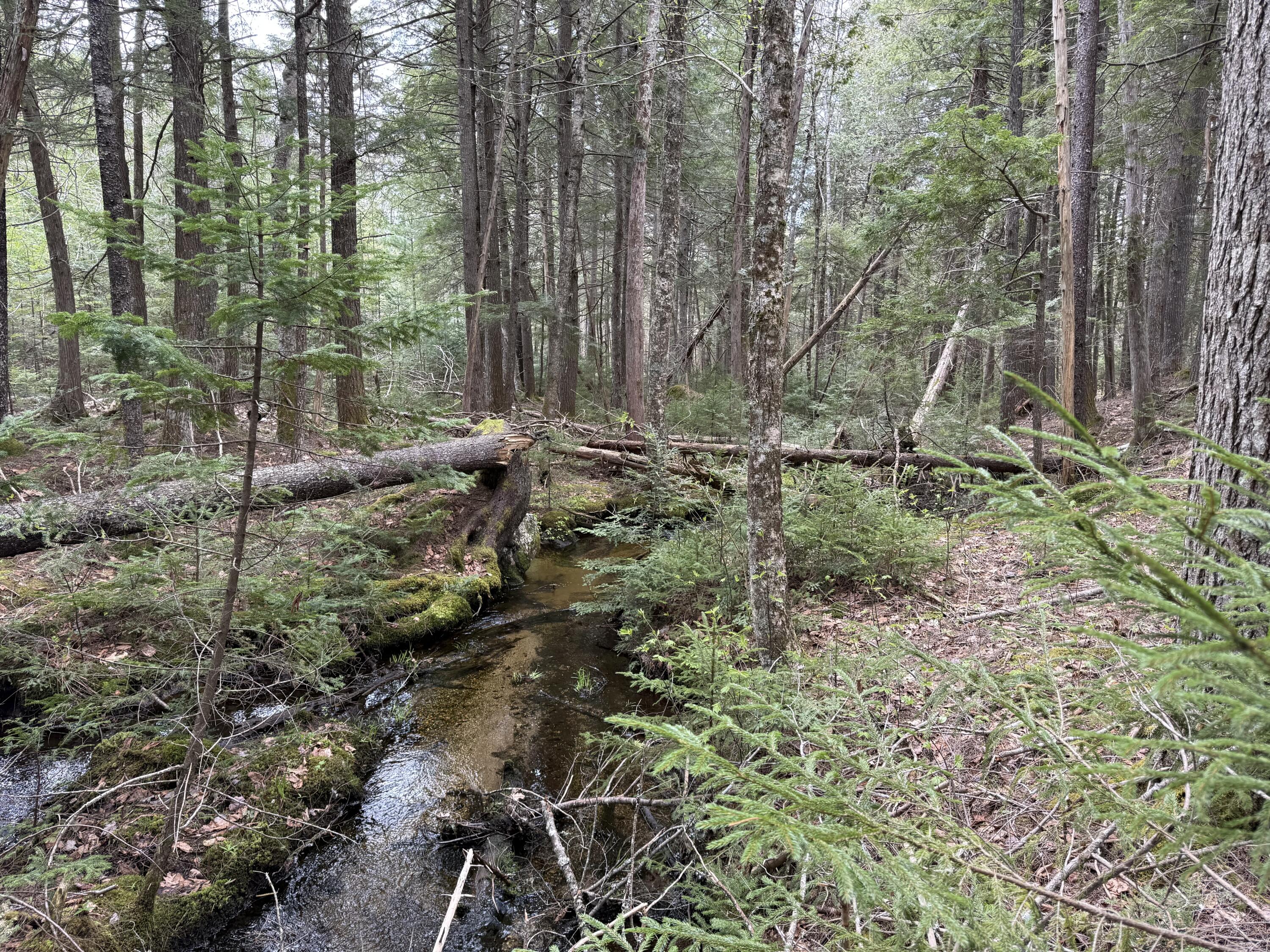 0 Map 7/2 Ebens Trail Orland ME 04472