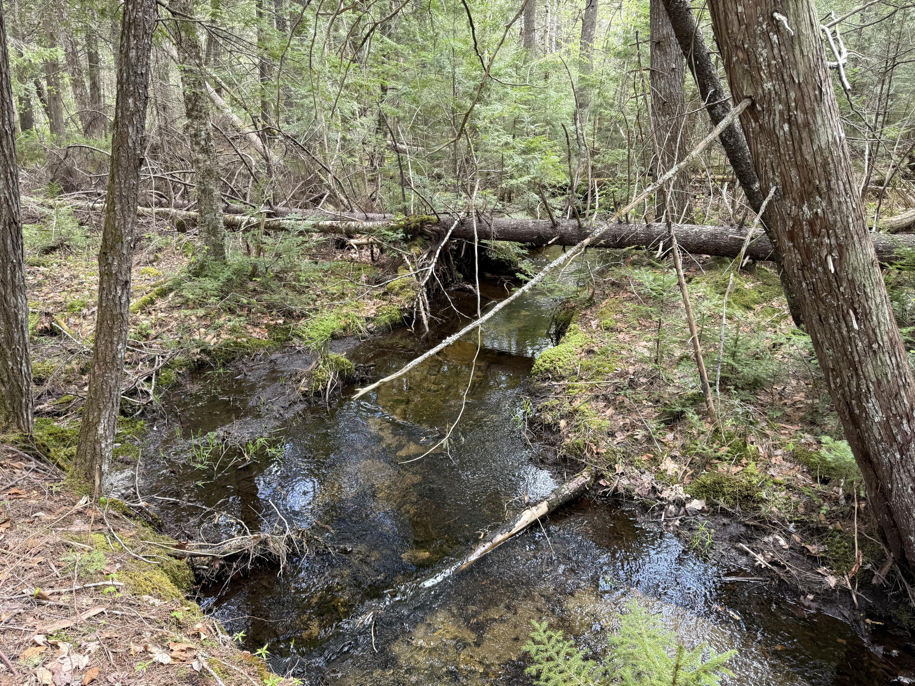 0 Map 7/2 Ebens Trail Orland ME 04472