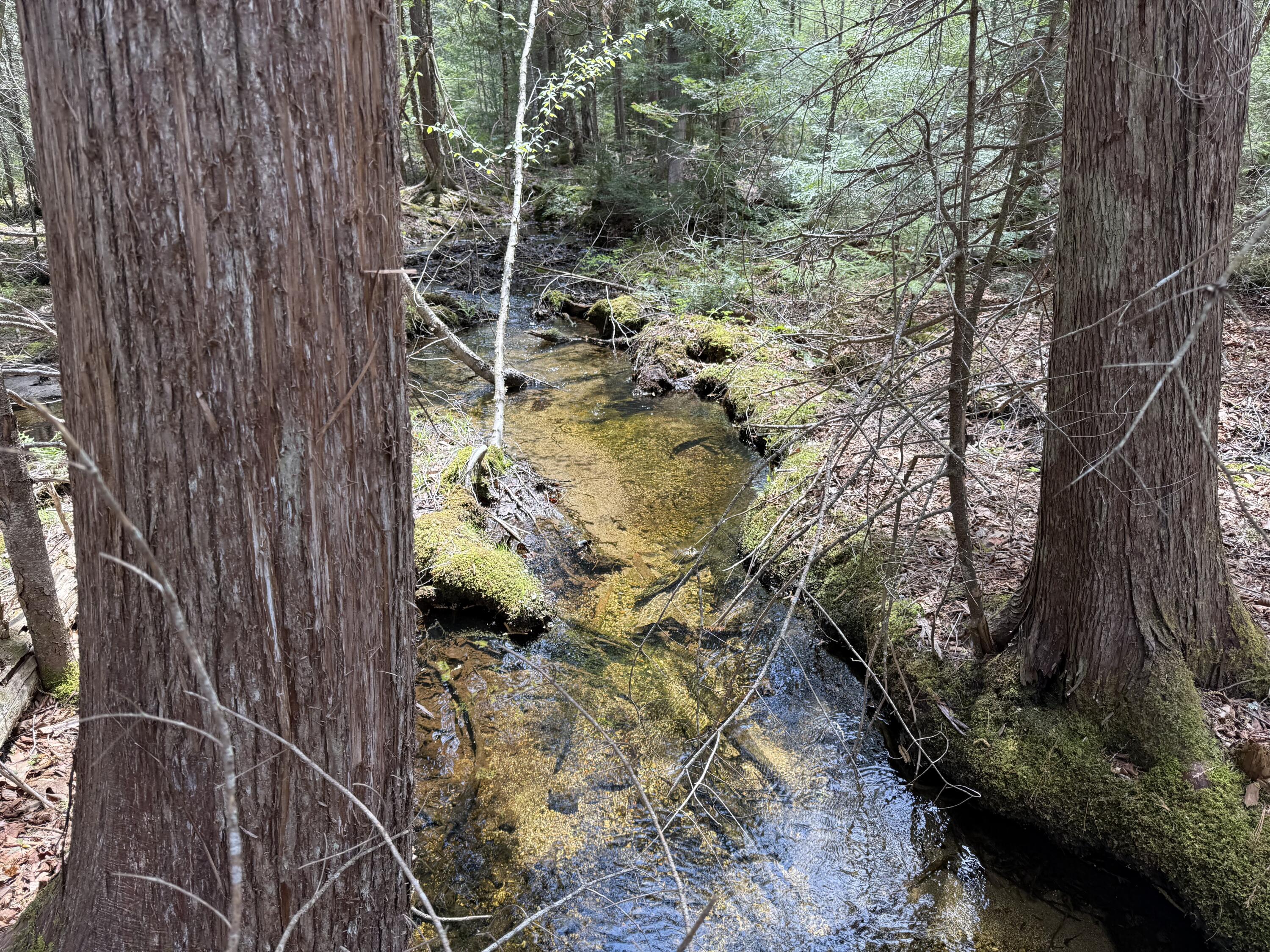 0 Map 7/2 Ebens Trail Orland ME 04472