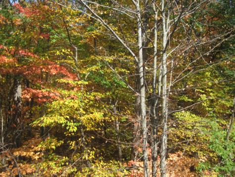 75 Fosterville Road Bridgton ME 04009