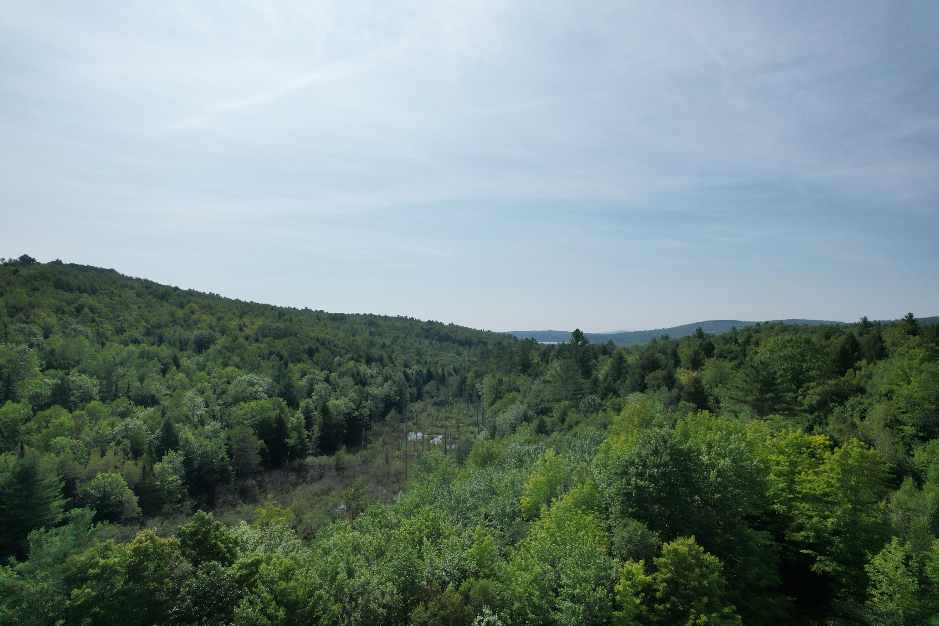 Lots B&c Hanslip Road Wilton ME 04294