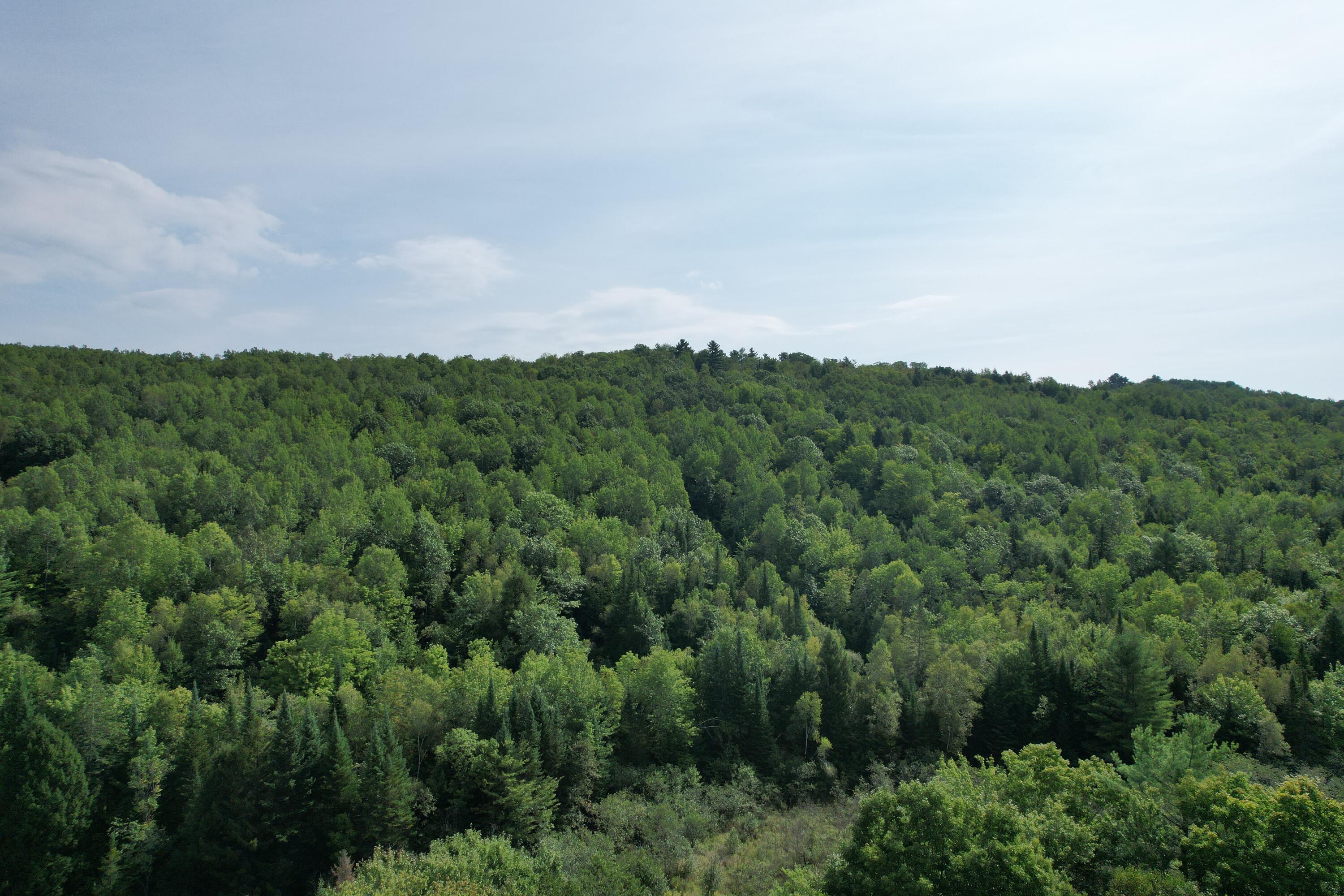 Lots B&c Hanslip Road Wilton ME 04294