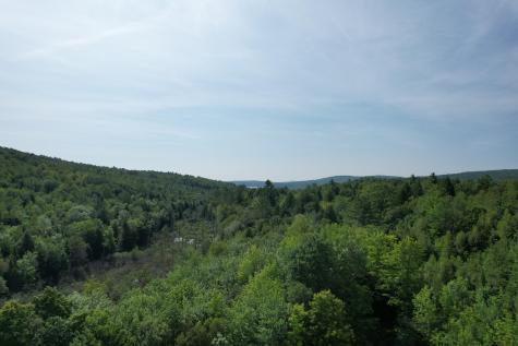 Lots B&c Hanslip Road Wilton ME 04294