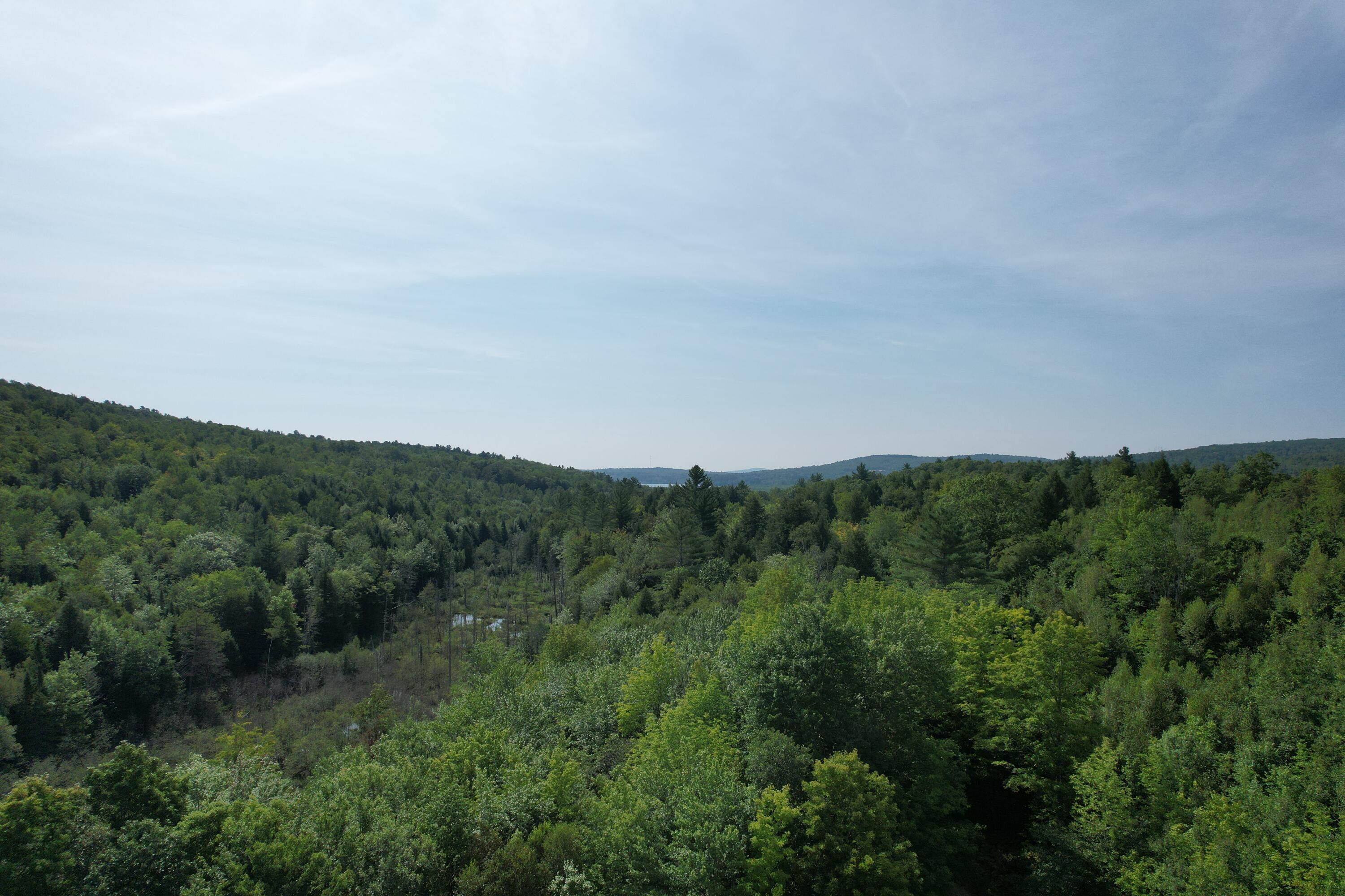 Lots B&c Hanslip Road Wilton ME 04294