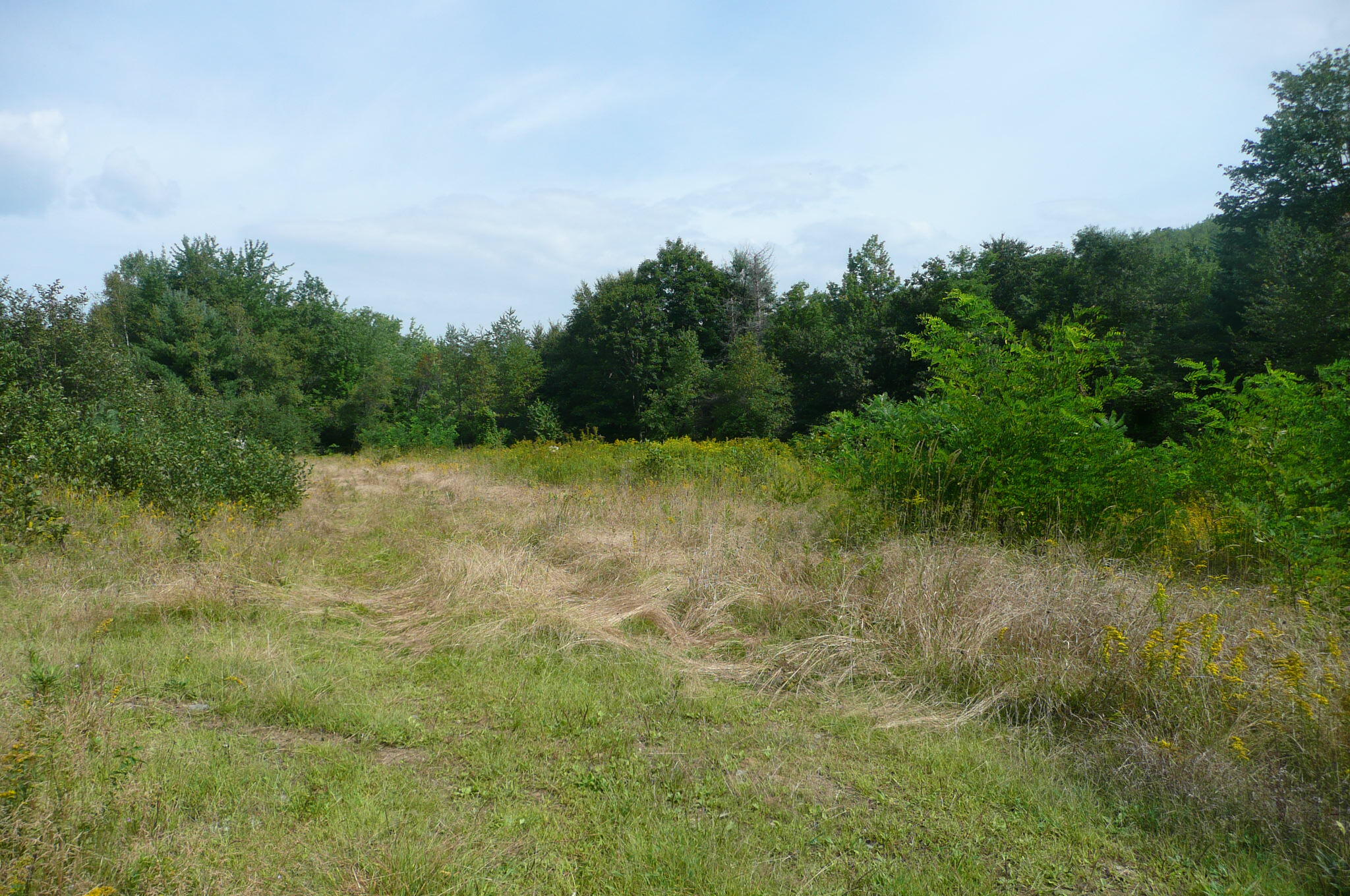 Lots B&c Hanslip Road Wilton ME 04294