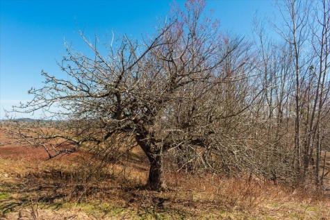 Lots 10 & 10-2 Hawes Bridge Road Prospect ME 04981