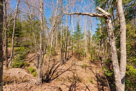 Lots 10 & 10-2 Hawes Bridge Road Prospect ME 04981