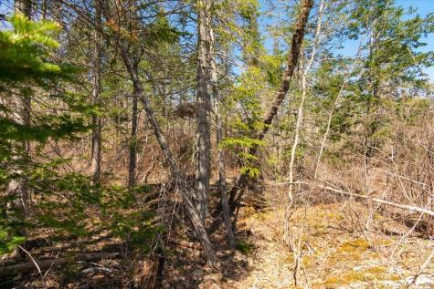 Lots 10 & 10-2 Hawes Bridge Road Prospect ME 04981