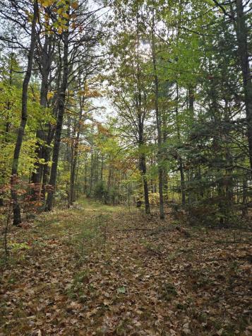133 Plantation Lane Brownfield ME 04010