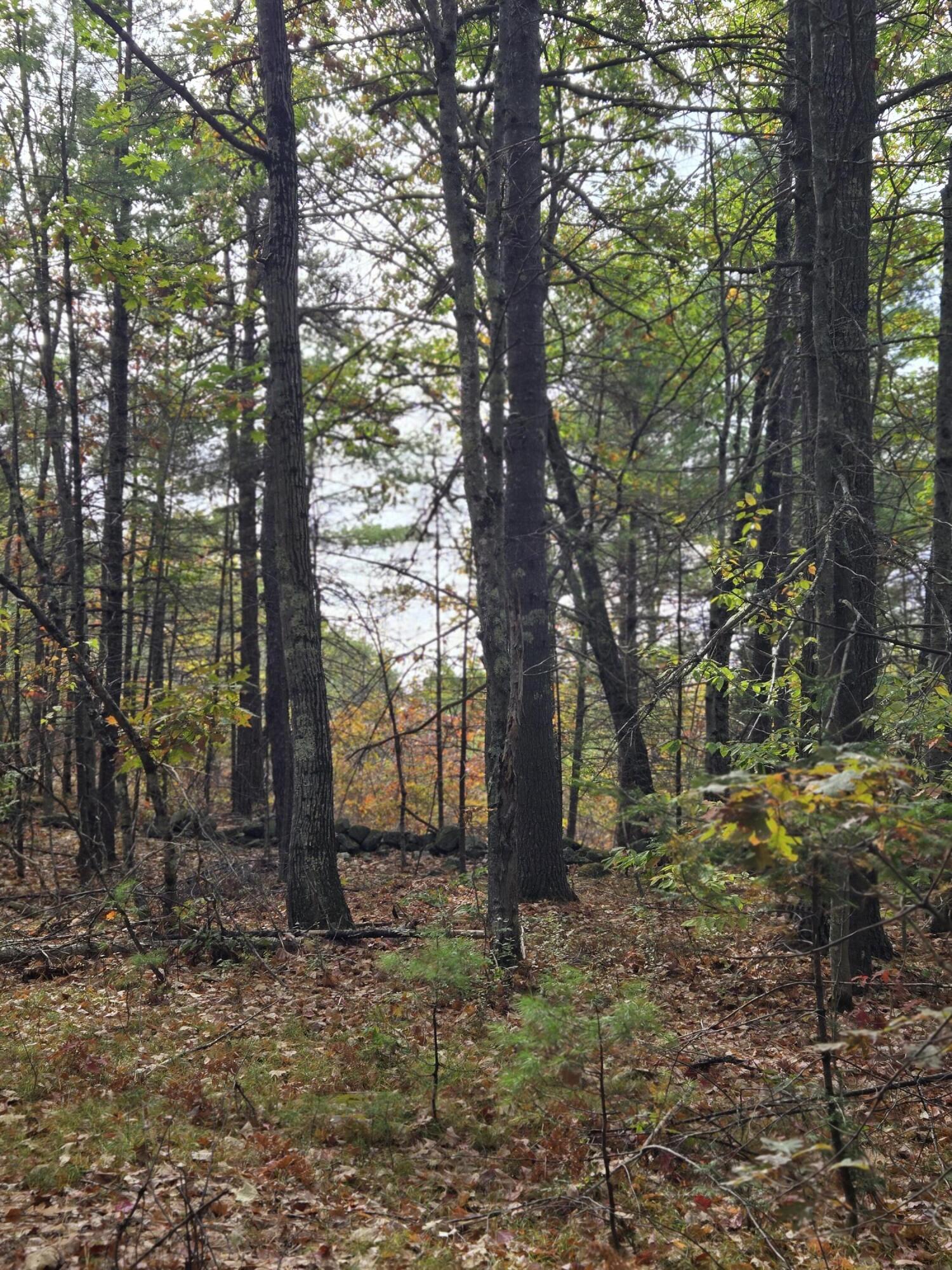 133 Plantation Lane Brownfield ME 04010