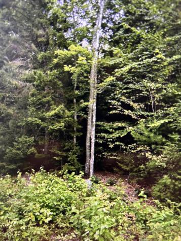 163 Sandy Acres Drive Sullivan ME 04664