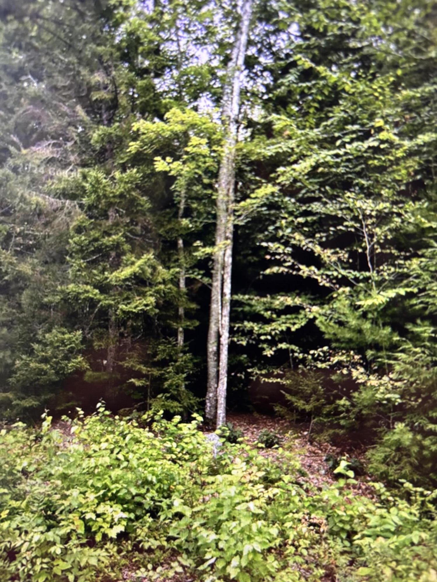 163 Sandy Acres Drive Sullivan ME 04664