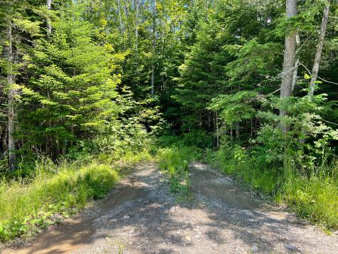 Lot 4 Woodland Ridge Road Danforth ME 04424