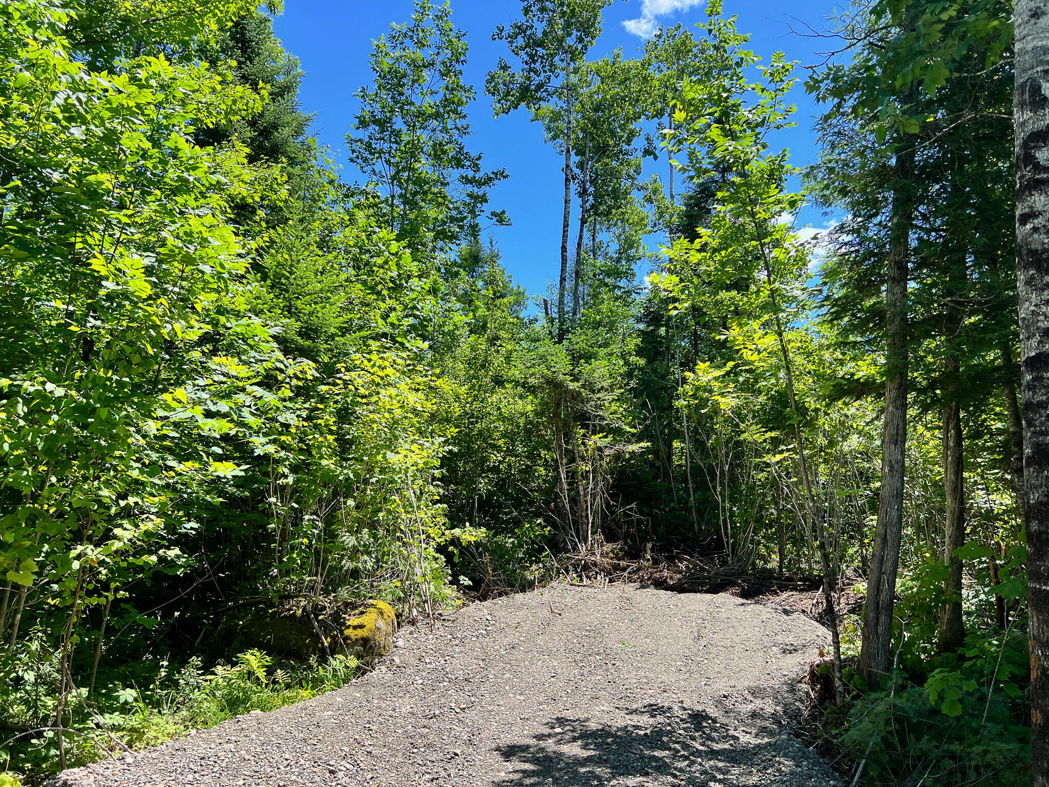 Lot 4 Woodland Ridge Road Danforth ME 04424