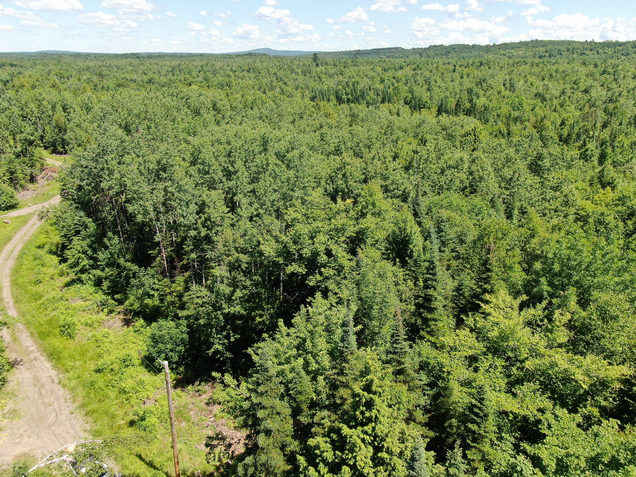 Lot 4 Woodland Ridge Road Danforth ME 04424