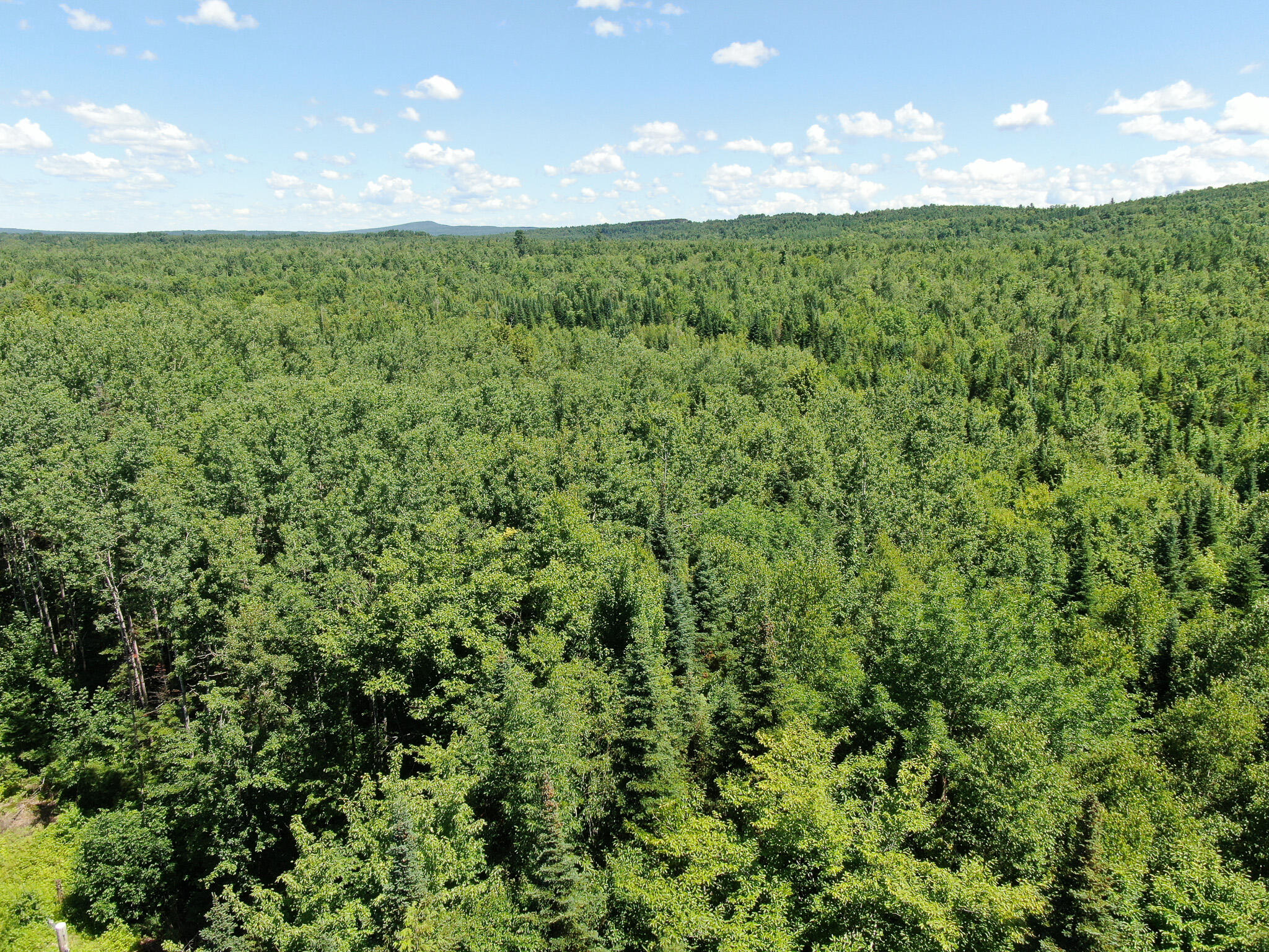 Lot 4 Woodland Ridge Road Danforth ME 04424
