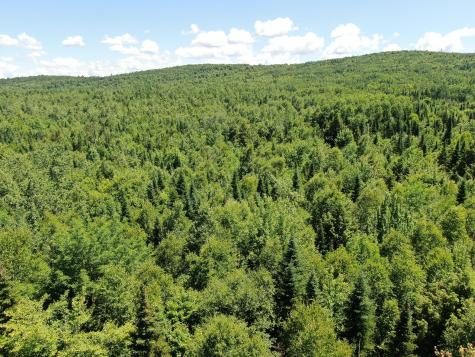 Lot 4 Woodland Ridge Road Danforth ME 04424