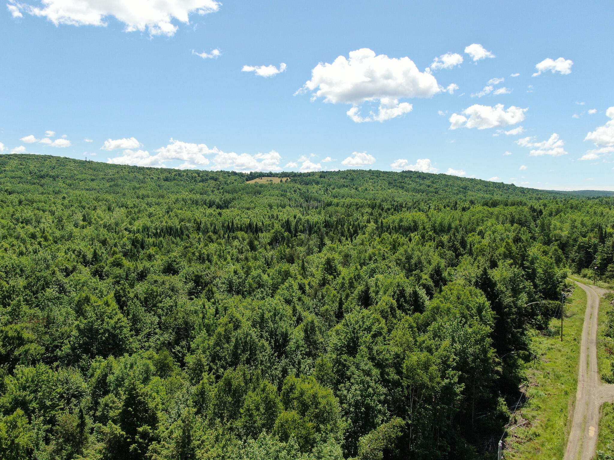 Lot 4 Woodland Ridge Road Danforth ME 04424