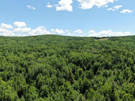 Lot 4 Woodland Ridge Road Danforth ME 04424