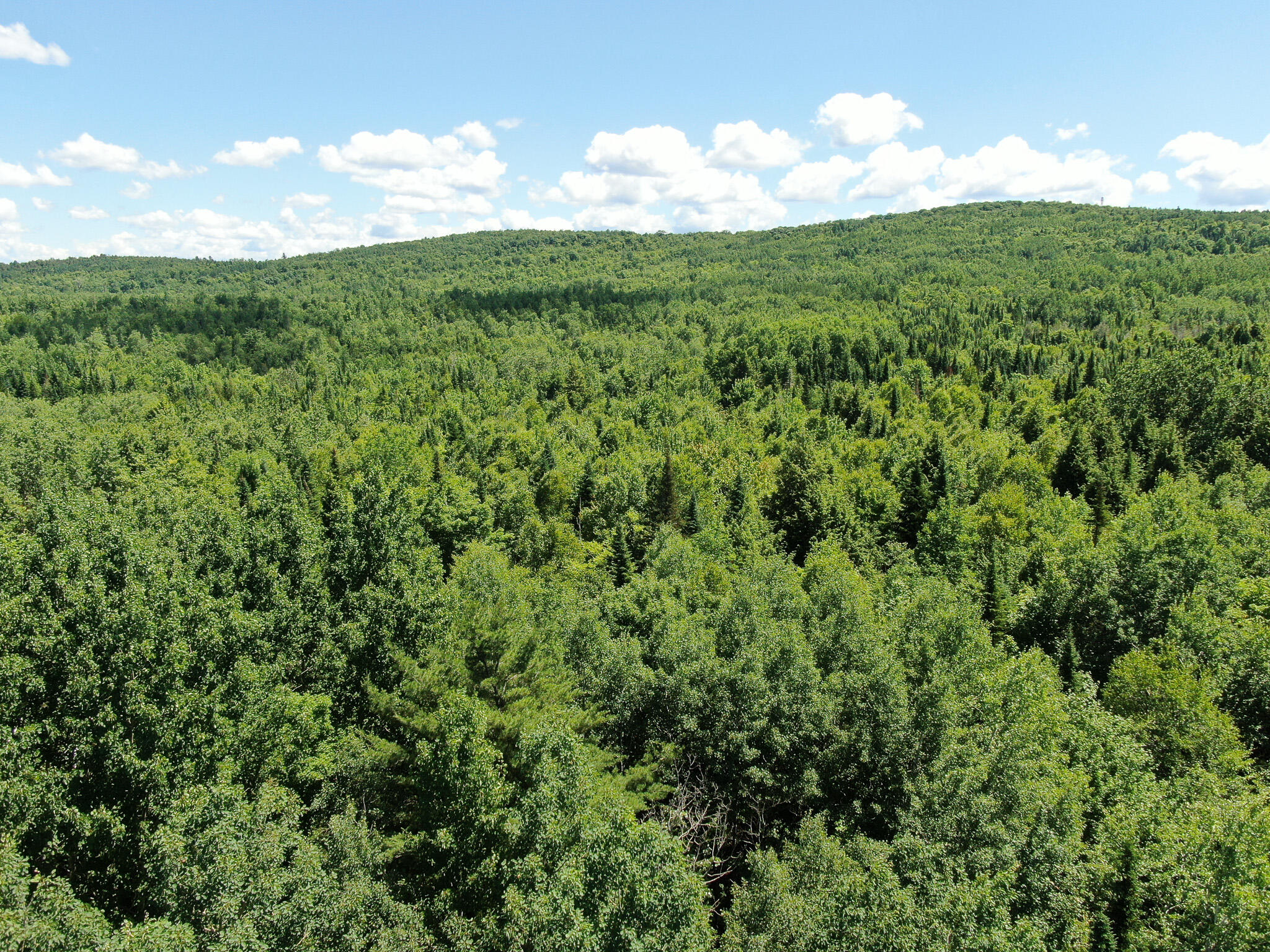Lot 4 Woodland Ridge Road Danforth ME 04424