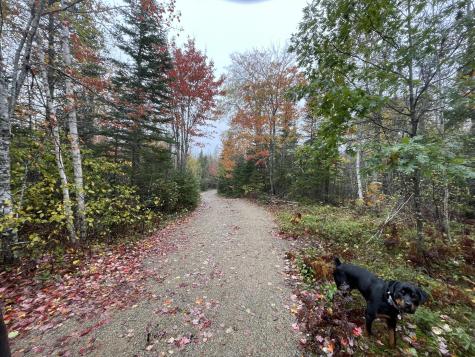 #24 Georgetown Woods Road Columbia ME 04623