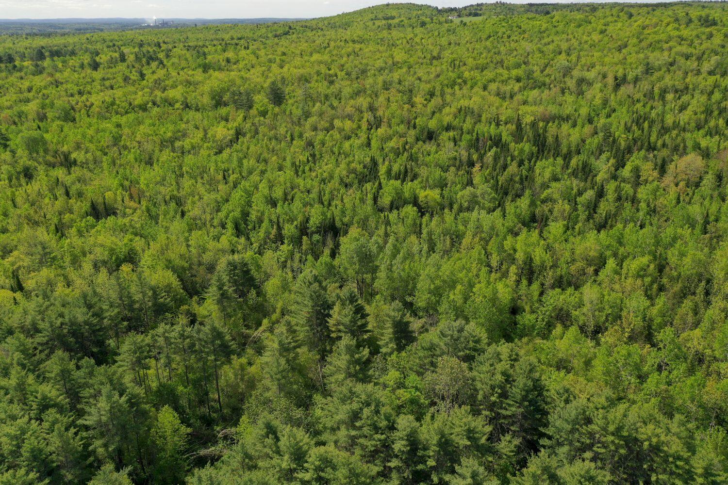 P/o M9 L65 Waterville Road Skowhegan ME 04976