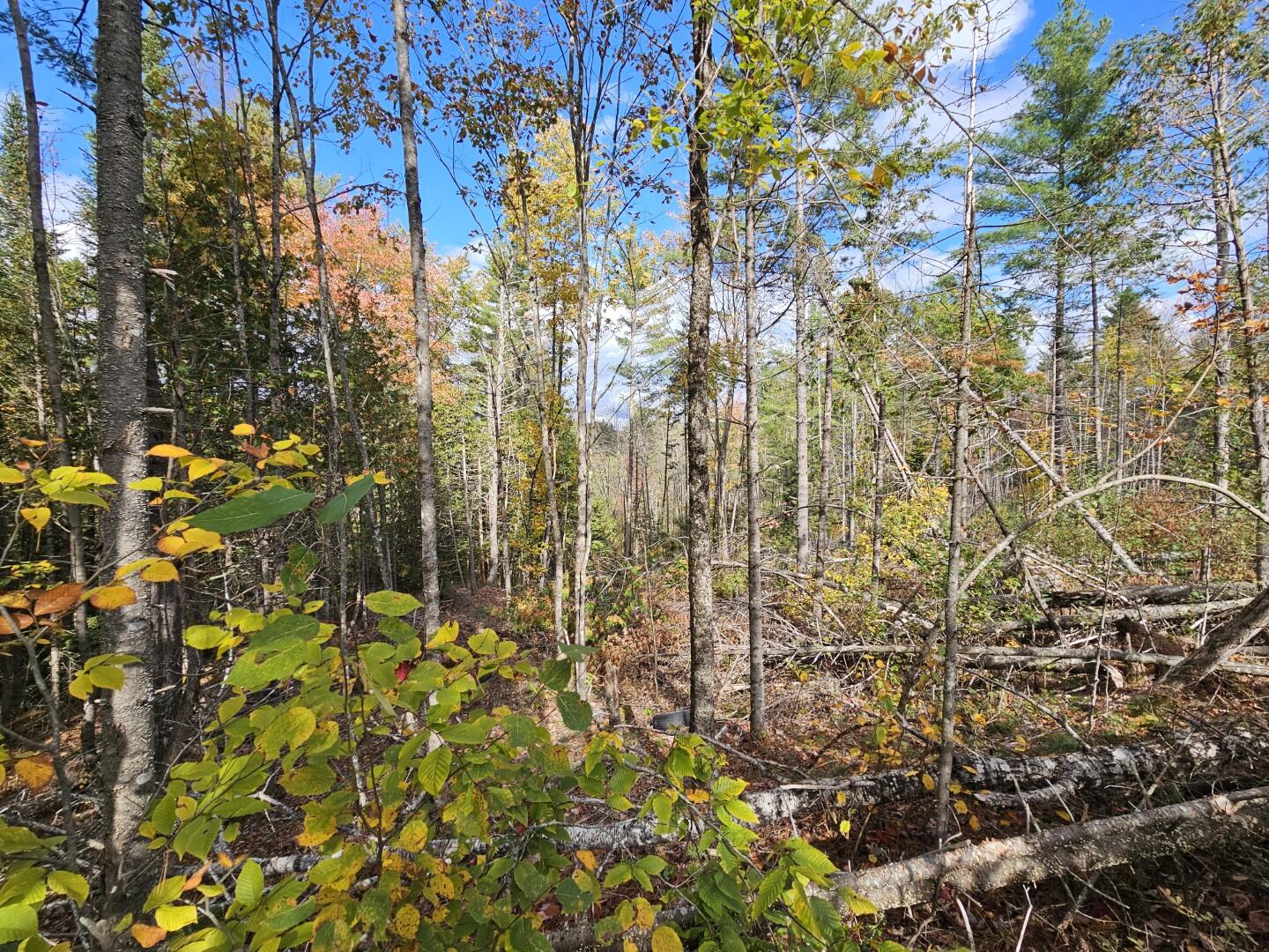 6 Old Schoolhouse Road Norridgewock ME 04957