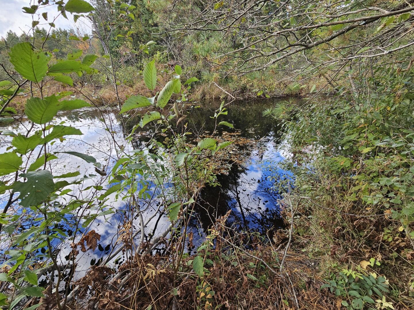 6 Old Schoolhouse Road Norridgewock ME 04957