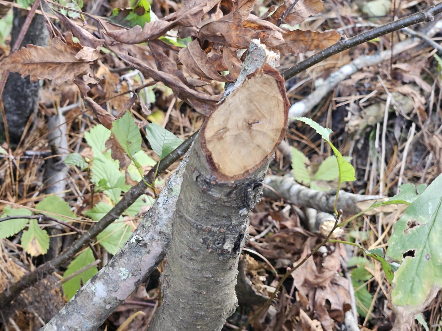 6 Old Schoolhouse Road Norridgewock ME 04957